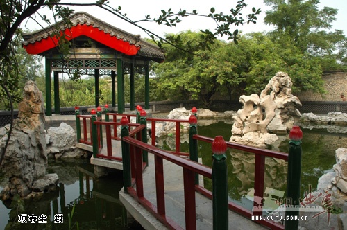 孔府后花园