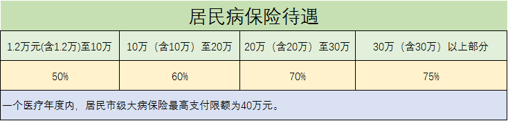 大病保险起付.png