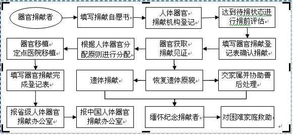 中国公民逝世后器官捐献工作流程