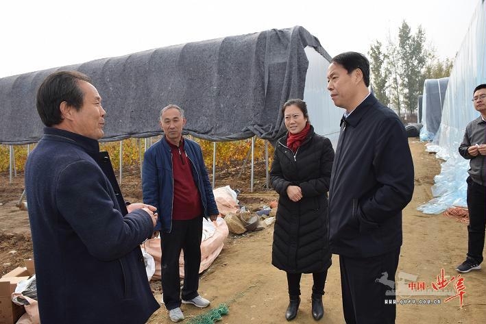刘东波到吴村镇调研生态农业项目建设情况