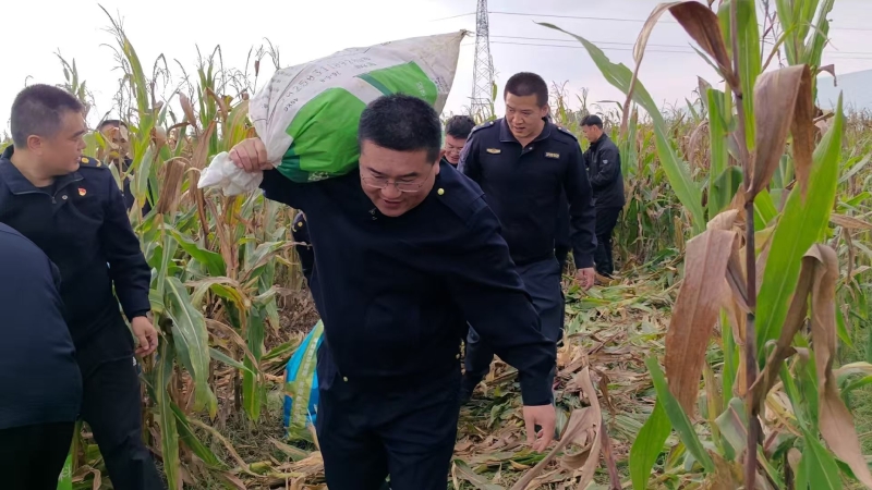 曲阜市综合行政执法局：雨中显温情 服务暖民心