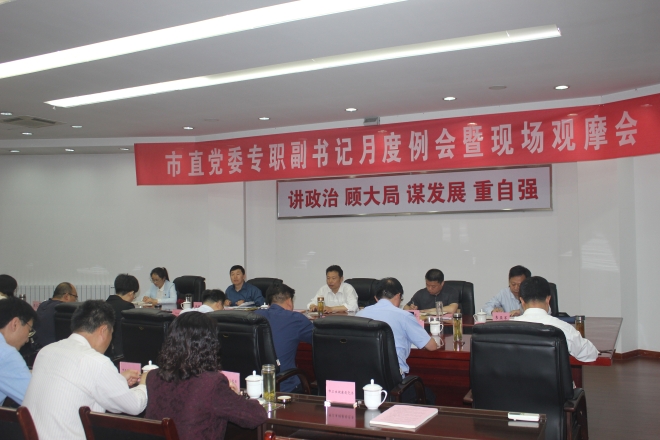 全市市直党委专职副书记月度工作例会暨现场观摩会成功召开